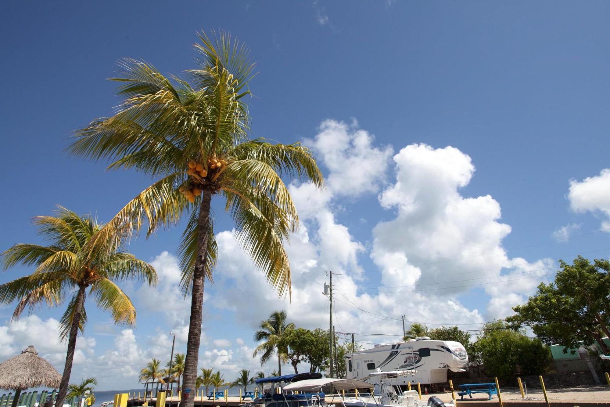 Kings Kamp Otel Key Largo Dış mekan fotoğraf